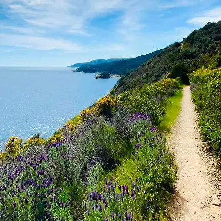 Rio Sul Mare Рио-Марина