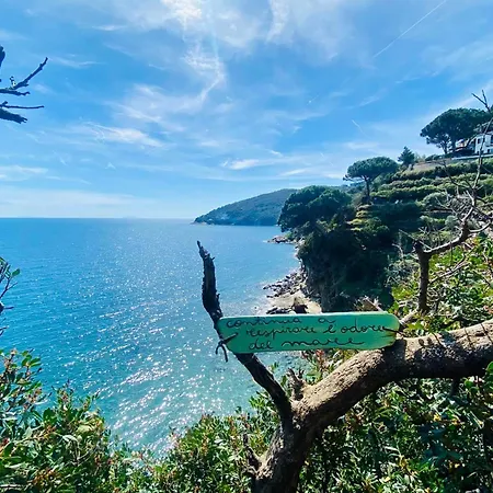 Rio Sul Mare ريو مارينا