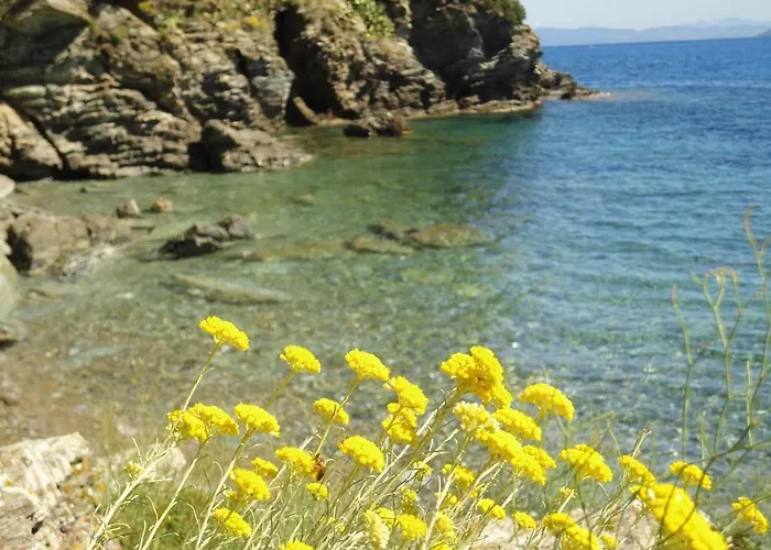 فندق Rio Sul Mare ريو مارينا