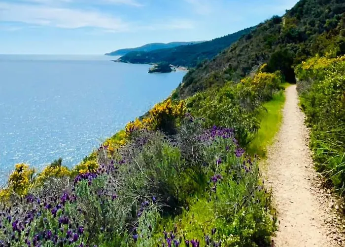 Rio Sul Mare ريو مارينا
