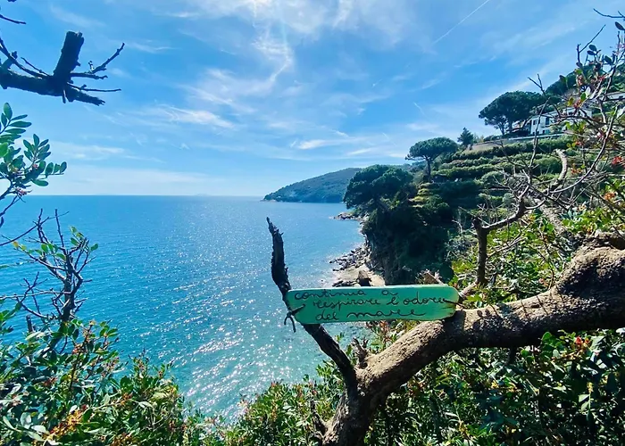 Rio Sul Mare ريو مارينا